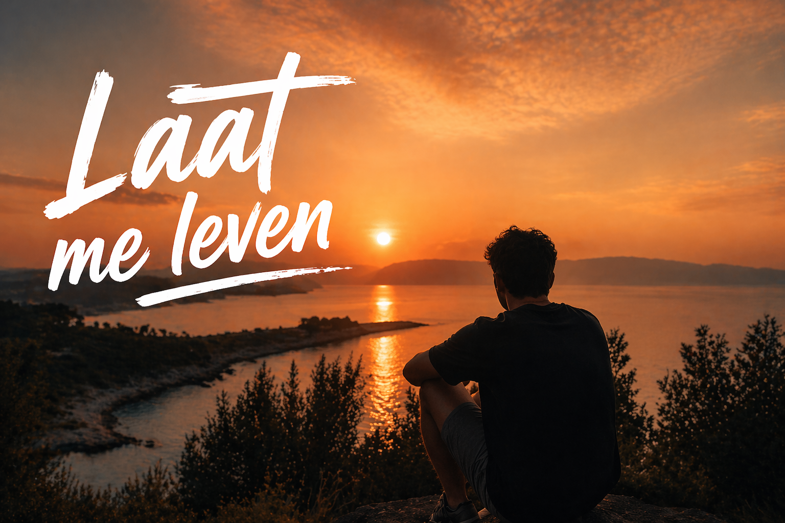 Cover van Laat me leven